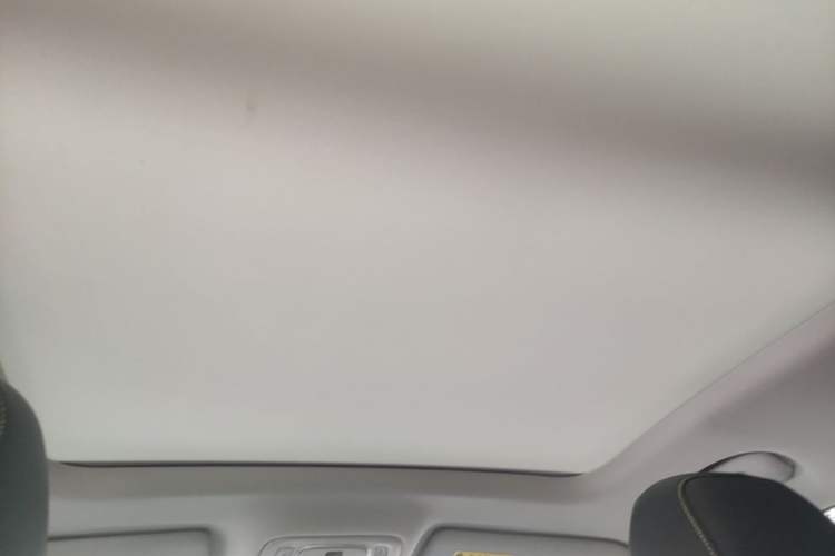 Used Roewe RX5 2020 PLUS 300TGI Automatic Ali National Trend Flagship Edition Headliner