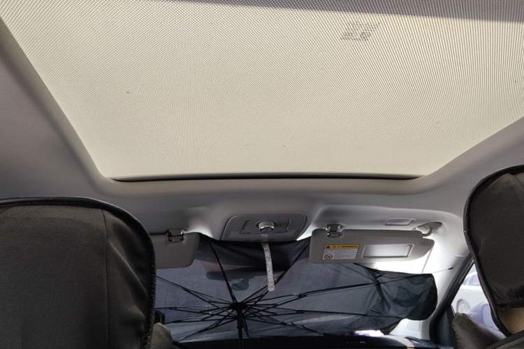 Used Roewe RX5 2020 20T Manual 4G Connect Super-Luxury Flagship Edition Headliner