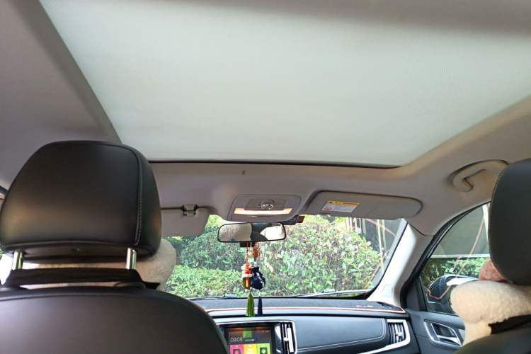 Used Roewe RX5 2020 20T Automatic 4G Connect Superior Flagship Edition Headliner