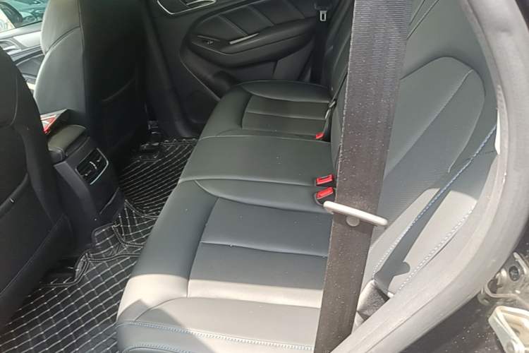 Used Roewe RX5 2020 20T Automatic 4G Connected Million-Dollar Flagship Edition Left Rear Seat