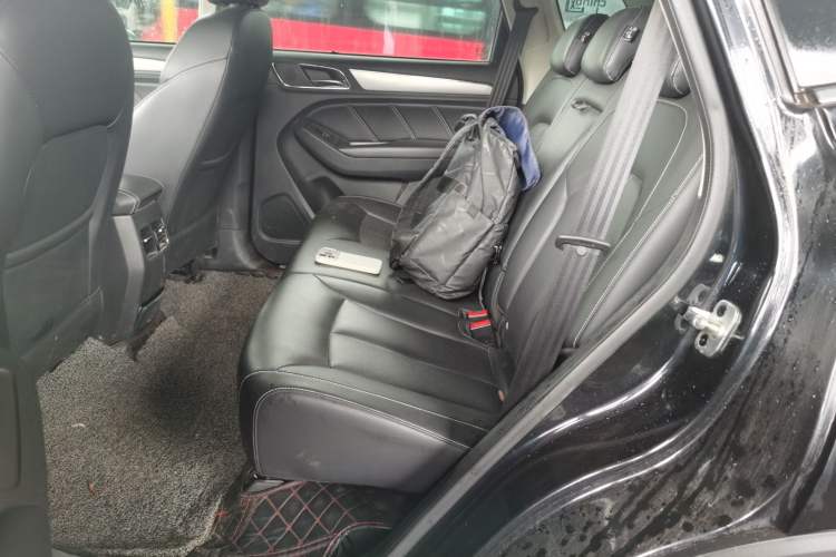 Used Roewe RX5 2020 20T Automatic 4G Connect Superior Flagship Edition Left Rear Seat