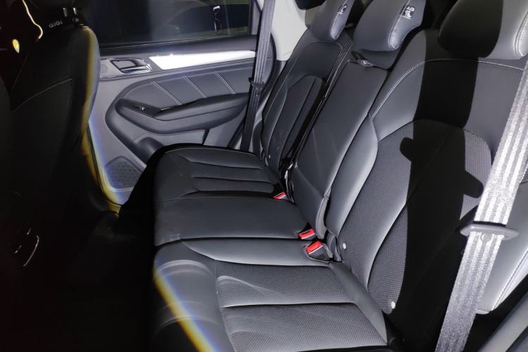 Used Roewe RX5 2020 20T Automatic Ali Smart Connectivity Beyond Intelligent Edition Left Rear Seat
