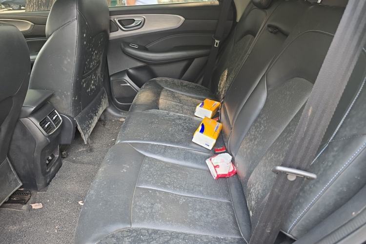 Used Roewe RX5 2020 PLUS 300TGI Manual Ali National Style Luxury Edition Left Rear Seat