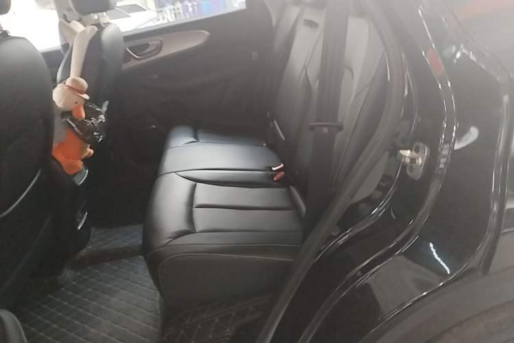 Used Roewe RX5 2020 PLUS 300TGI Automatic Ali National Style Ronglin Edition Left Rear Seat