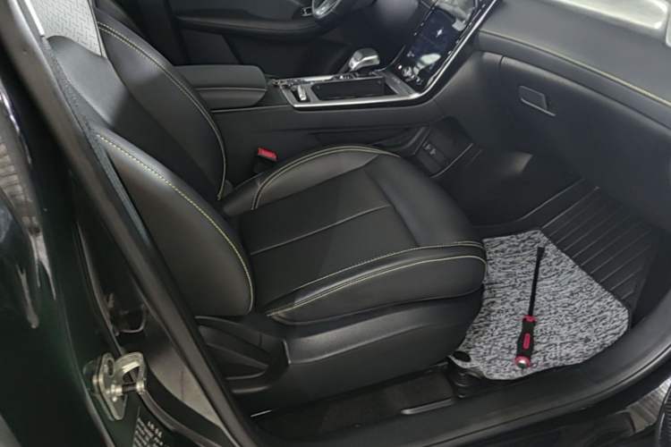 Used Roewe RX5 2020 PLUS 300TGI Automatic Ali National Trend Flagship Edition Right Front Seat