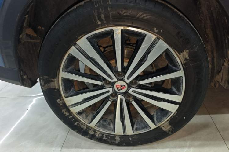 Used Roewe RX5 2020 20T Automatic 4G Connect Superior Flagship Edition Exterior 5