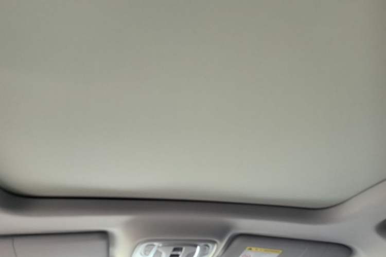 Used Roewe RX5 2020 PLUS 300TGI Automatic Ali National Trend Flagship Edition Headliner