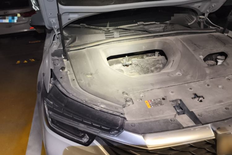 Used Roewe RX5 2020 PLUS 300TGI Automatic Ali National Trend Flagship Edition Engine Bay Right