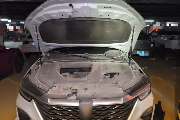 Used Roewe RX5 2020 PLUS 300TGI Automatic Ali National Trend Flagship Edition Engine Bay