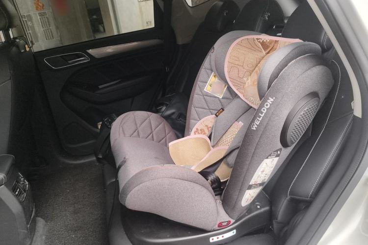 Used Roewe RX5 2020 20T Automatic 4G Connect Superior Flagship Edition Left Rear Seat