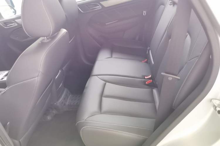 Used Roewe RX5 2020 20T Automatic 4G Connect Superior Flagship Edition Left Rear Seat