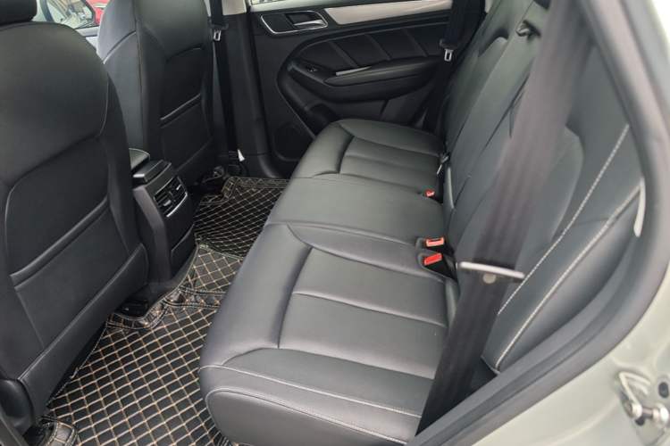 Used Roewe RX5 2020 20T Automatic 4G Connected Million-Dollar Flagship Edition Left Rear Seat