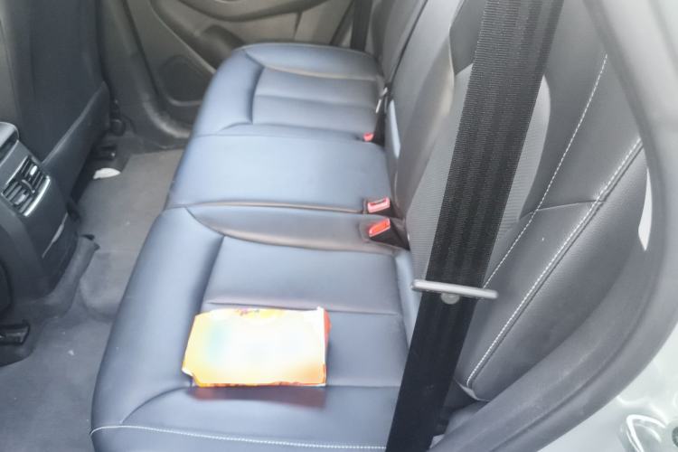 Used Roewe RX5 2020 PLUS 300TGI Automatic Ali National Style Luxury Edition Left Rear Seat