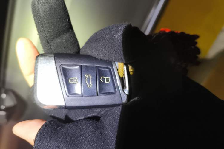 Used Roewe RX5 2020 PLUS 300TGI Automatic Ali National Trend Flagship Edition Vehicle Key