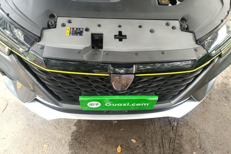 Used Roewe RX5 2020 PLUS 300TGI Automatic Ali National Trend Flagship Edition Engine Bay