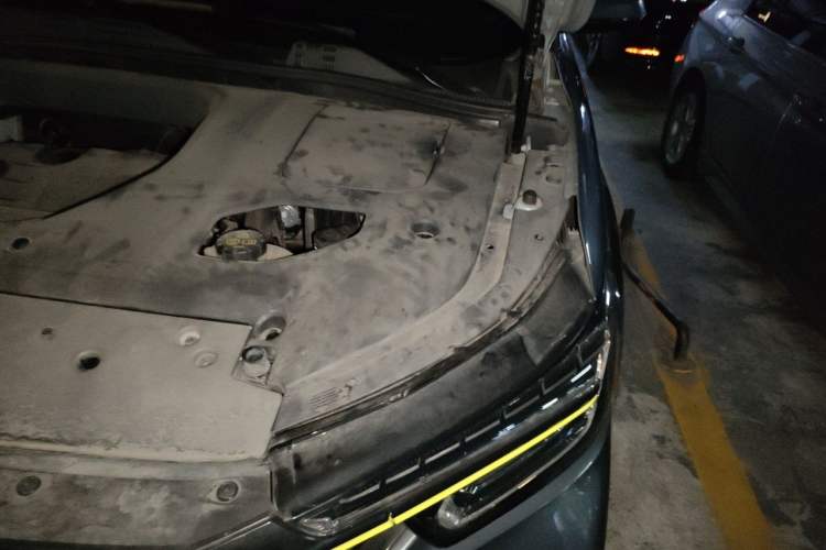Used Roewe RX5 2020 PLUS 300TGI Automatic Ali National Trend Flagship Edition Engine Bay Left