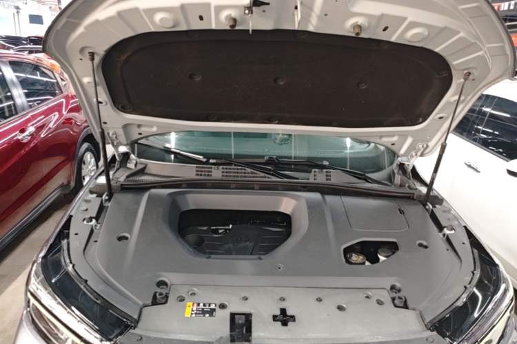 Used Roewe RX5 2020 PLUS 300TGI Automatic Ali National Trend Flagship Edition Engine Bay
