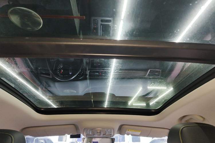Used Roewe RX5 2020 PLUS 300TGI Automatic Ali National Trend Flagship Edition Headliner