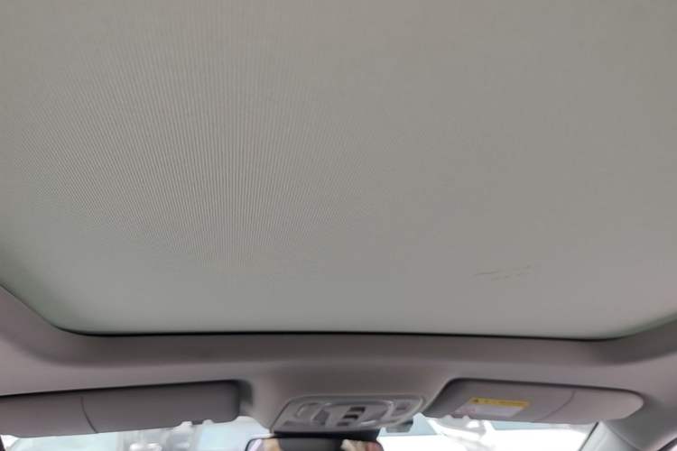 Used Roewe RX5 2020 PLUS 300TGI Automatic Ali National Style Ronglin Edition Headliner