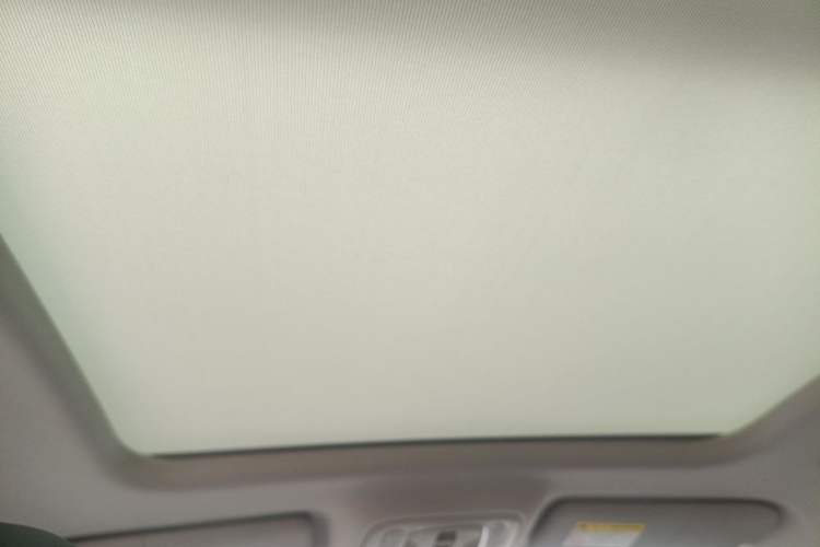 Used Roewe RX5 2020 PLUS 300TGI Automatic Ali National Trend Flagship Edition Headliner