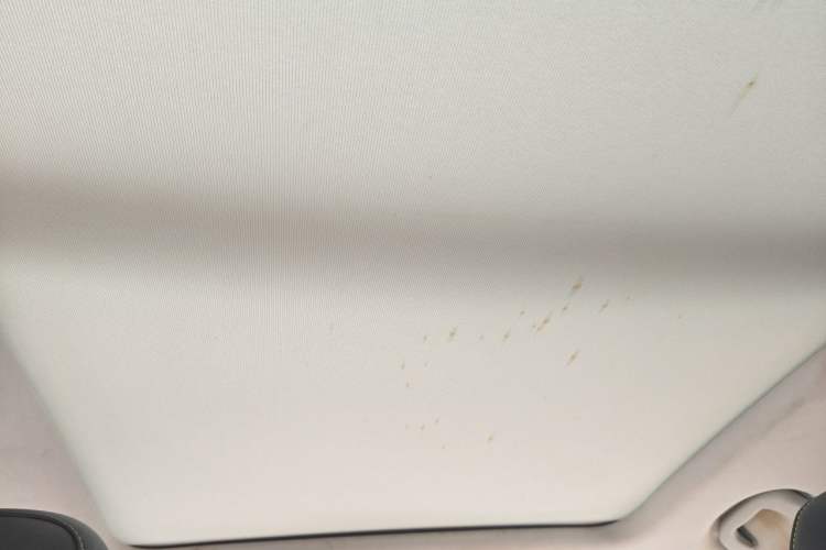 Used Roewe RX5 2020 PLUS 300TGI Automatic Ali National Style Ronglin Edition Headliner