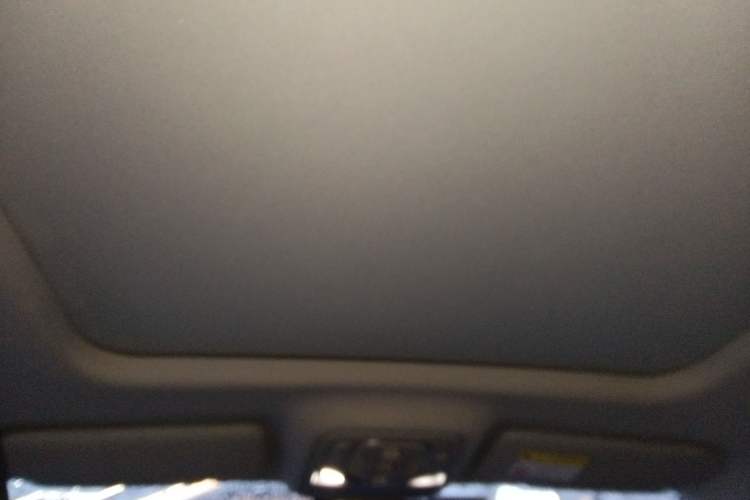 Used Roewe RX5 2020 PLUS 300TGI Automatic Ali National Trend Flagship Edition Headliner