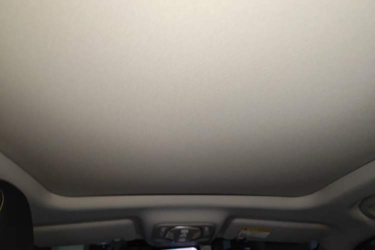 Used Roewe RX5 2020 PLUS 300TGI Automatic Ali National Trend Flagship Edition Headliner