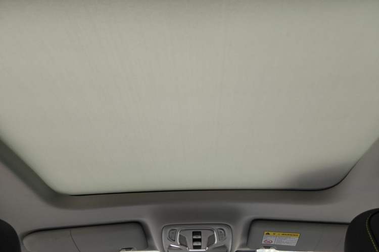 Used Roewe RX5 2020 PLUS 300TGI Automatic Ali National Trend Flagship Edition Headliner