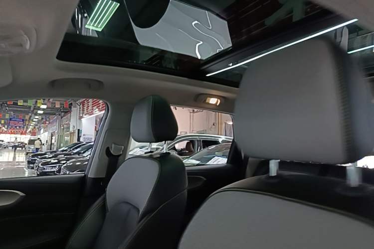 Used Roewe RX5 2020 PLUS 300TGI Automatic Ali National Trend Flagship Edition Headliner