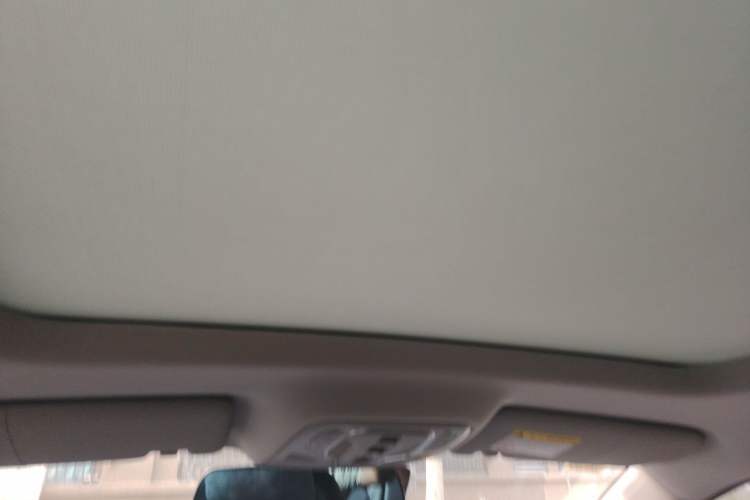 Used Roewe RX5 2020 PLUS 300TGI Automatic Ali National Trend Flagship Edition Headliner
