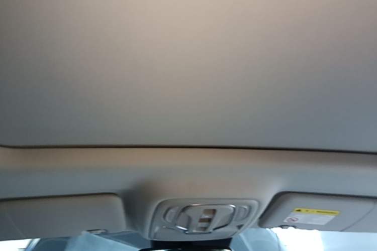 Used Roewe RX5 2020 PLUS 300TGI Automatic Ali National Style Ronglin Edition Headliner