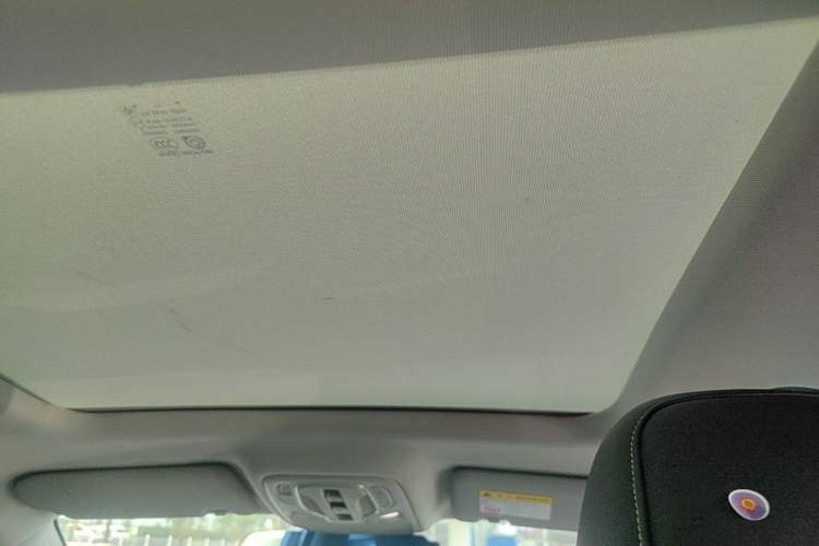 Used Roewe RX5 2020 PLUS 300TGI Automatic Ali National Trend Flagship Edition Headliner