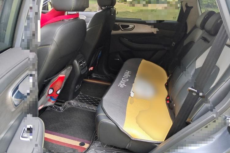 Used Roewe RX5 2020 PLUS 300TGI Automatic Ali National Style Ronglin Edition Left Rear Seat