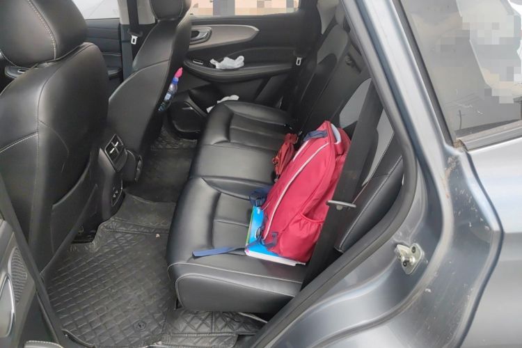 Used Roewe RX5 2020 PLUS 300TGI Automatic Ali National Trend Flagship Edition Left Rear Seat