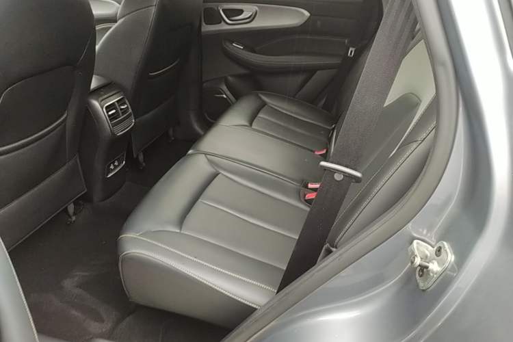 Used Roewe RX5 2020 PLUS 300TGI Automatic Ali National Style Luxury Edition Left Rear Seat