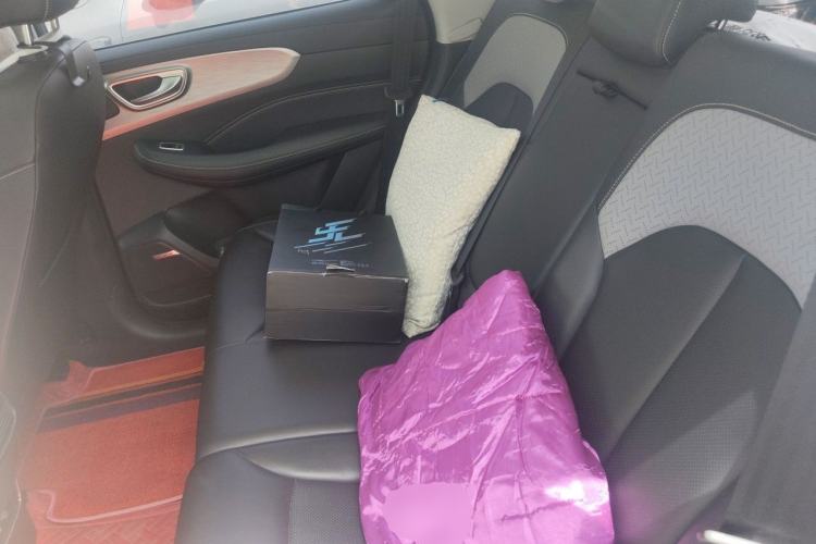 Used Roewe RX5 2020 PLUS 300TGI Automatic Ali National Style Ronglin Edition Left Rear Seat