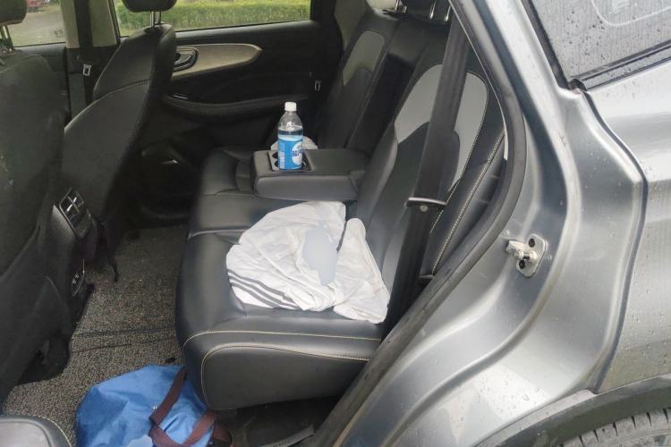 Used Roewe RX5 2020 PLUS 300TGI Automatic Ali National Style Ronglin Edition Left Rear Seat