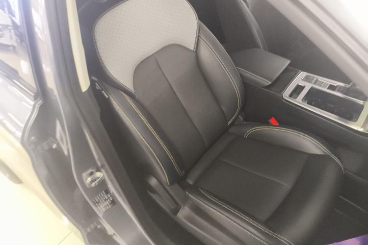 Used Roewe RX5 2020 PLUS 300TGI Automatic Ali National Trend Flagship Edition Right Front Seat