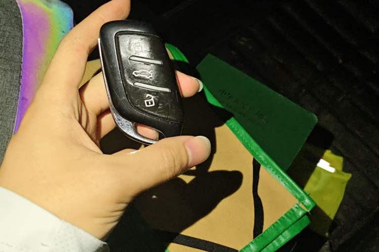Used Roewe RX5 2020 PLUS 300TGI Automatic Ali National Trend Flagship Edition Vehicle Key