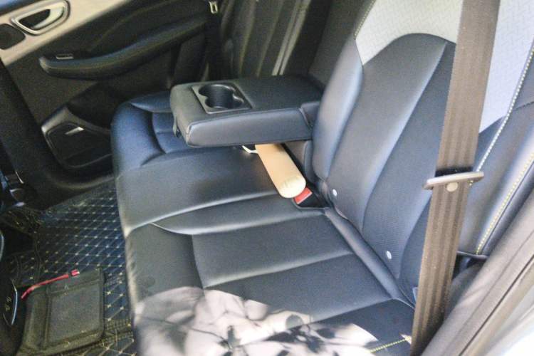 Used Roewe RX5 2020 PLUS 300TGI Automatic Ali National Trend Flagship Edition Left Rear Seat