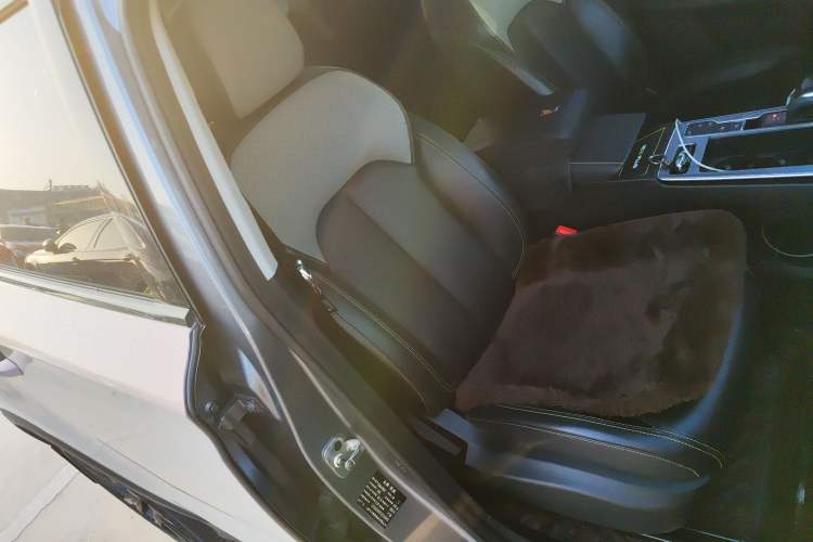 Used Roewe RX5 2020 PLUS 300TGI Automatic Ali National Trend Flagship Edition Right Front Seat