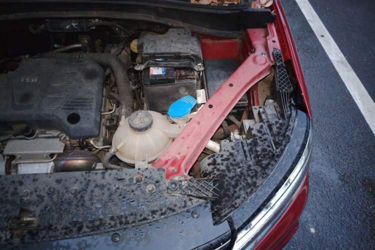 Used Roewe RX5 2020 20T Automatic 4G Connect Superior Flagship Edition Engine Bay Left