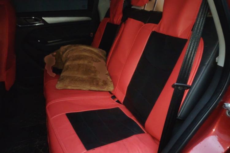 Used Roewe RX5 2020 20T Automatic 4G Connect Superior Flagship Edition Left Rear Seat