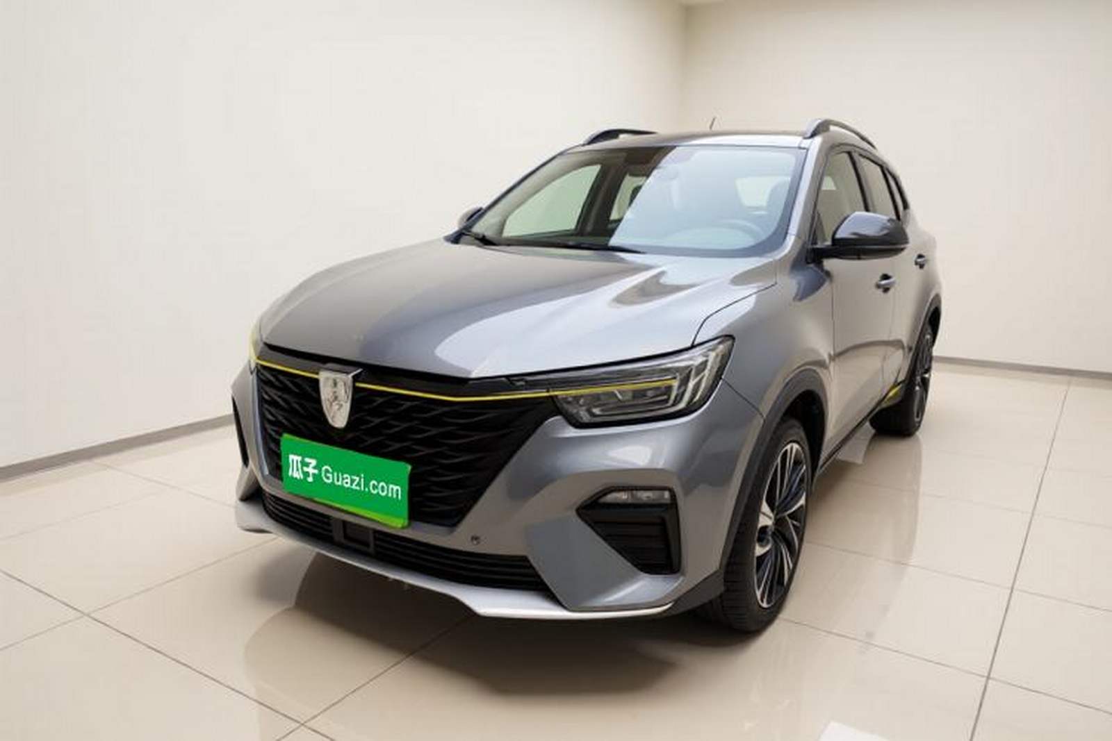 Фото Roewe с площадки