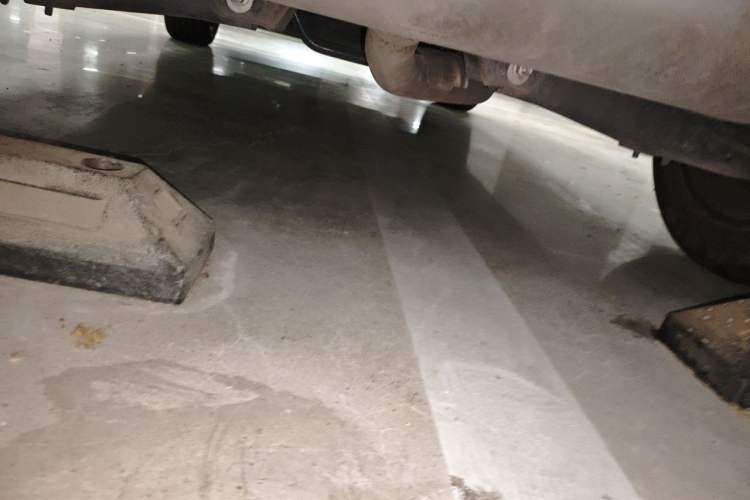 Used Roewe RX5 2020 20T Automatic 4G Connected Million Edition Chassis Rear