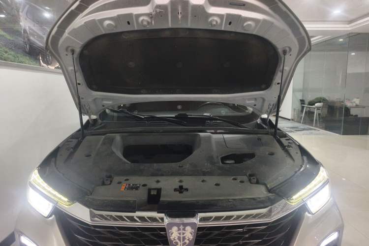 Used Roewe RX5 2020 PLUS 300TGI Automatic Ali National Trend Flagship Edition Engine Bay