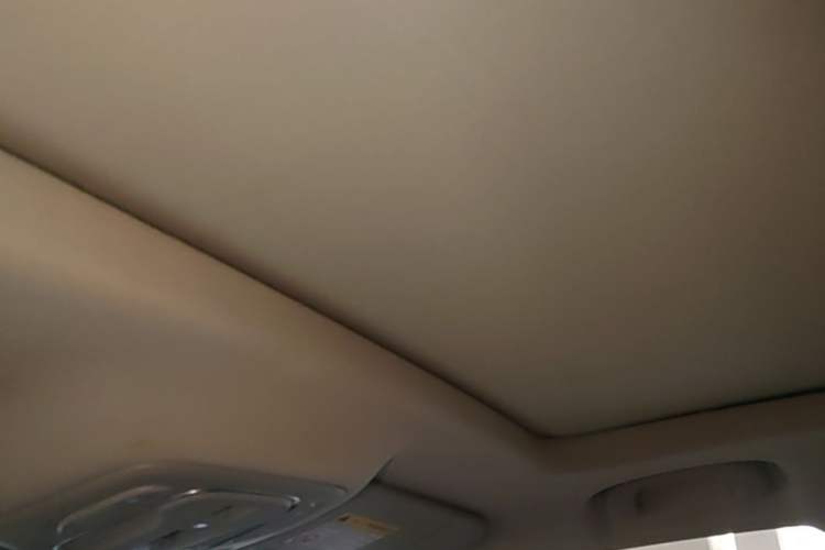 Used Roewe RX5 2020 PLUS 300TGI Automatic Ali National Style Luxury Edition Headliner