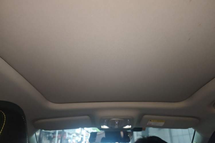 Used Roewe RX5 2020 PLUS 300TGI Automatic Ali National Trend Flagship Edition Headliner