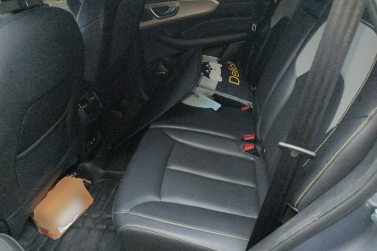 Used Roewe RX5 2020 PLUS 300TGI Automatic Ali National Style Ronglin Edition Left Rear Seat