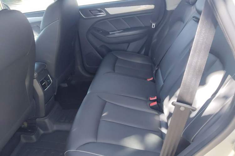 Used Roewe RX5 2020 20T Manual 4G Connect Super-Luxury Flagship Edition Left Rear Seat